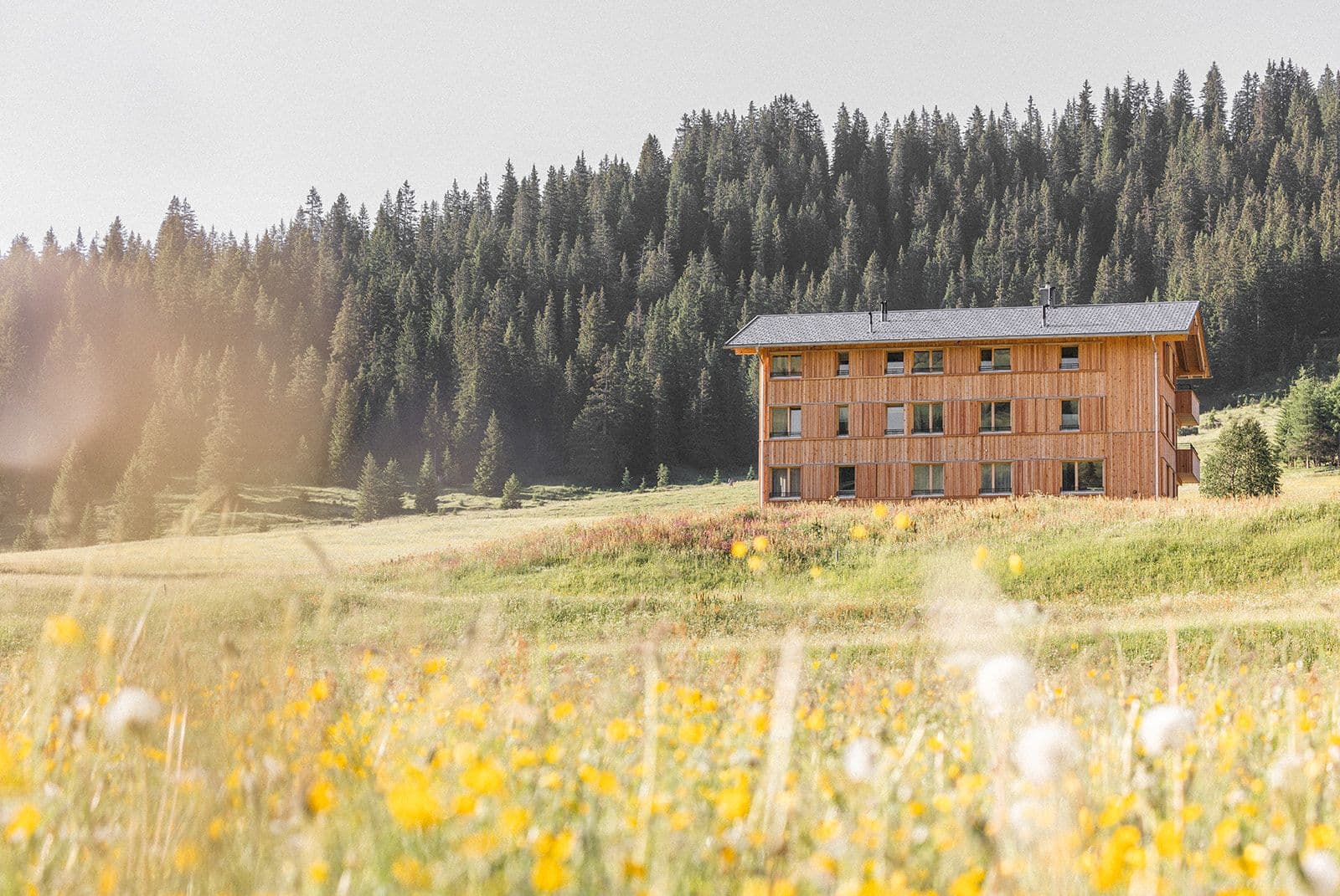 Die Lecherin im Sommer